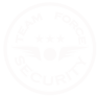 Team Force Security